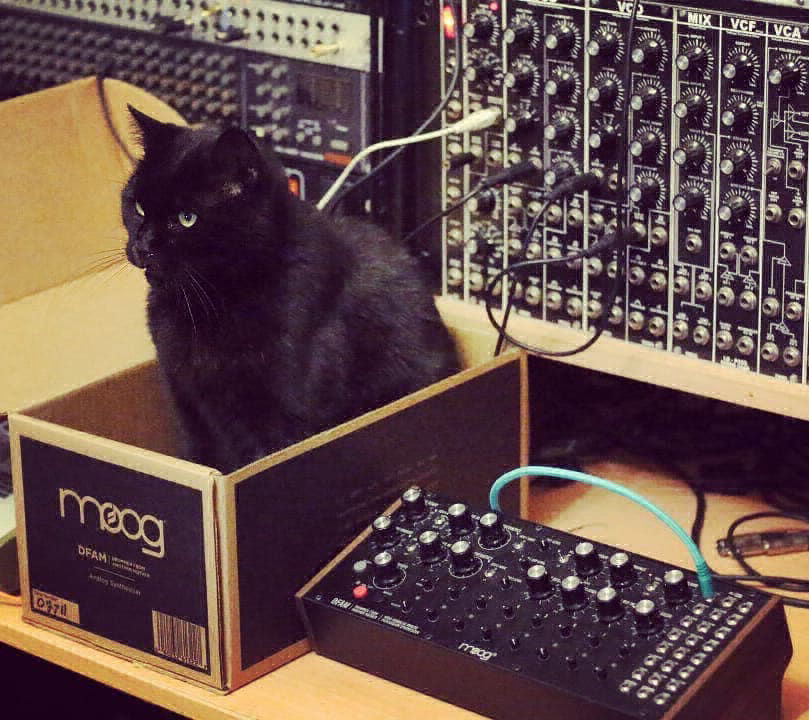 moog dfam