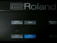 Roland HS-10